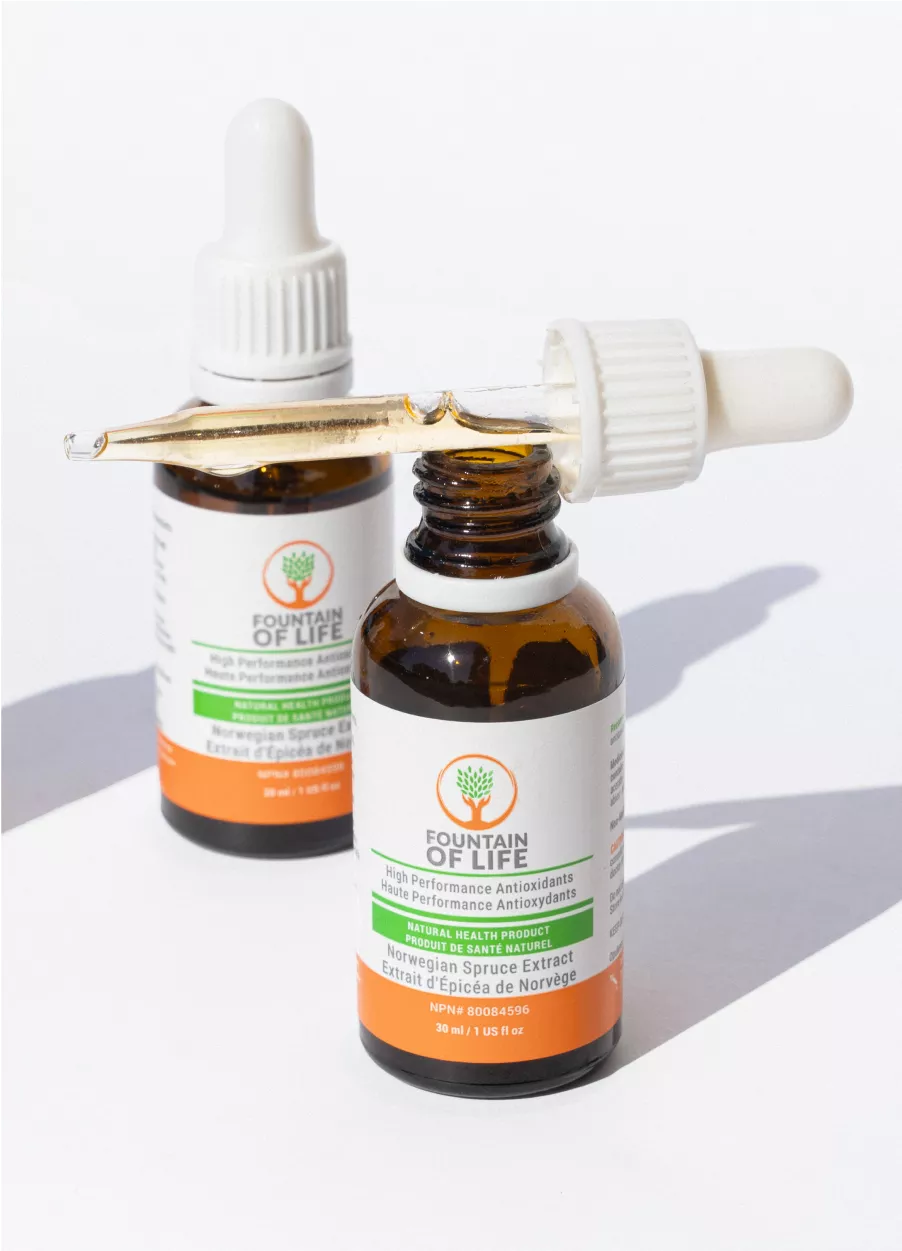 Fountain of Life producto